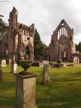 tumblr_nlmnsxwovO1thfeewo1_400