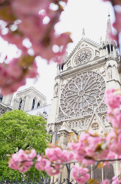 tumblr_nm3svlx2JH1qat5pio1_500