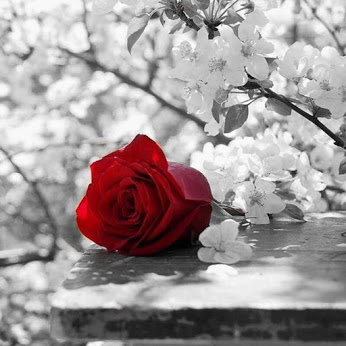 tumblr_nmaugjGTCt1u19ezpo1_400