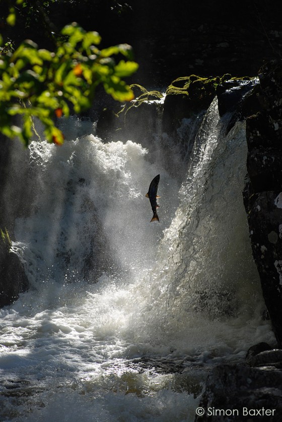 tumblr_nmkwzyKHRl1qh41oao1_1280