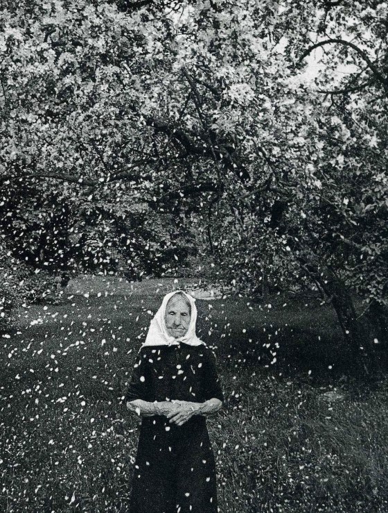 tumblr_nig7g4fiat1r44q44o1_1280