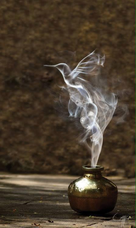 tumblr_nlzw1krAlh1trxee1o1_500