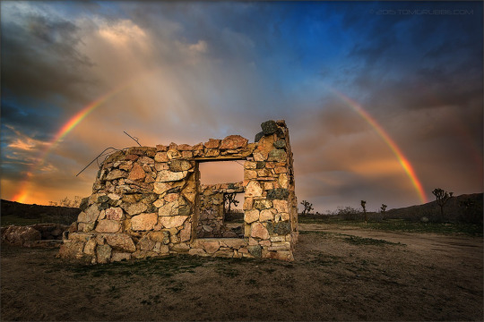 tumblr_nmunmqYryk1s4uwt4o2_r1_540