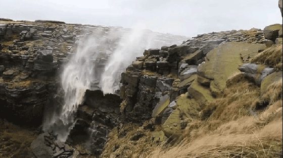 tumblr_nnxq6pweYE1sdqemdo1_1280