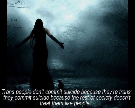 10592980_386188881528382_5354670903546491894_n