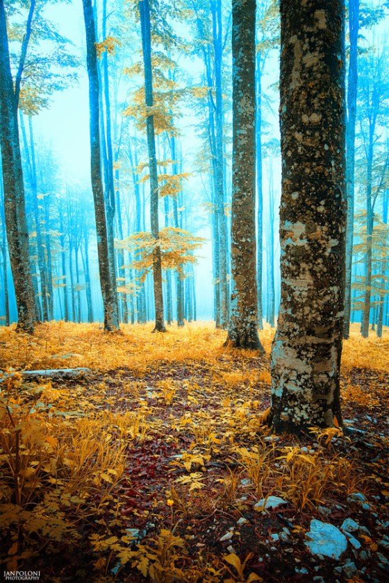 tumblr_nor7zuT95C1tq7o0to1_1280