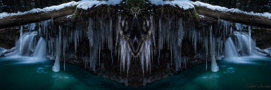 16093935274_96411e2413_o