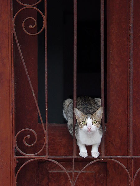 tumblr_n1h7bjMfIv1rcw6xko1_500