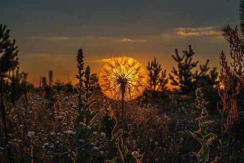 tumblr_nmp3is7zVY1r4pkz0o1_500