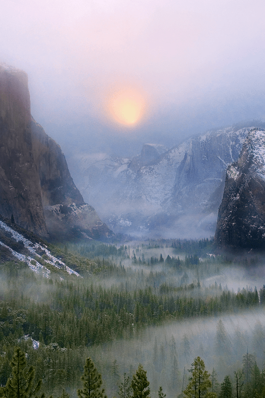 tumblr_nsbugs8L3B1t5g5c1o1_540