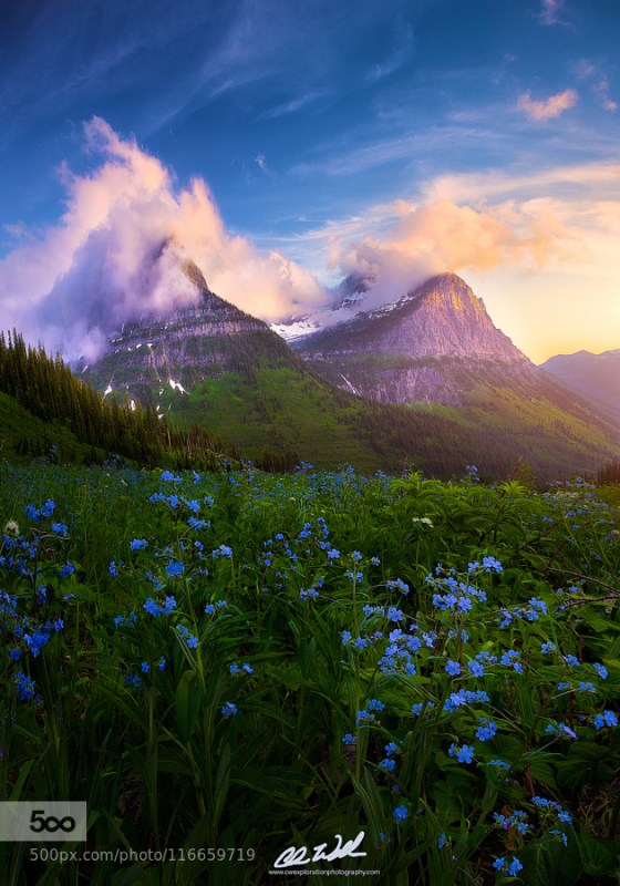 tumblr_nsccig7Euk1sooy9go1_1280