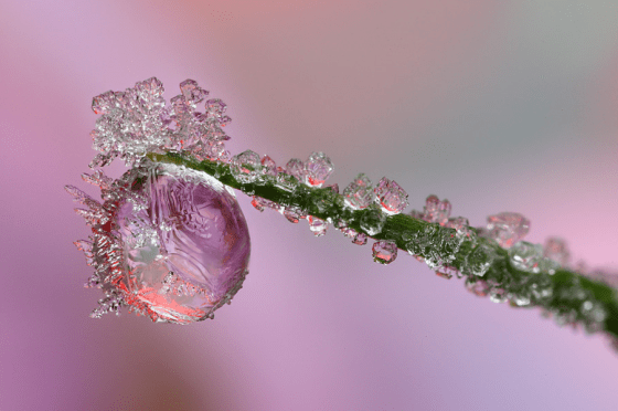 tumblr_nlh0bryEtH1tc258so3_1280