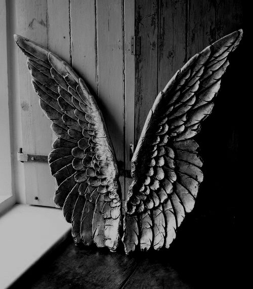 tumblr_no3qtnxh201tpw2ero1_500