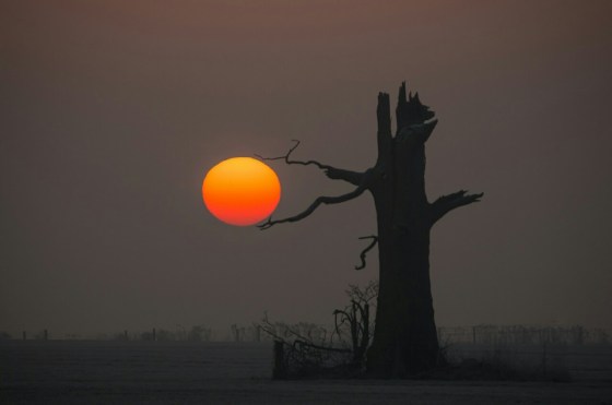 tumblr_nsd4seCFI41urmjt2o1_1280