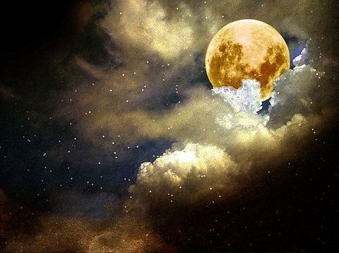 tumblr_nuso16lJkp1rr74i9o1_500