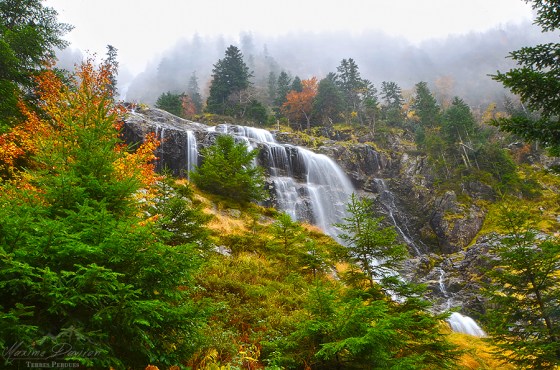 november_by_maximedaviron-d4fmw5o