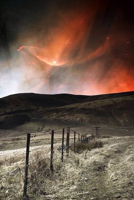 tumblr_nvmhzuRVPk1utpatuo1_500