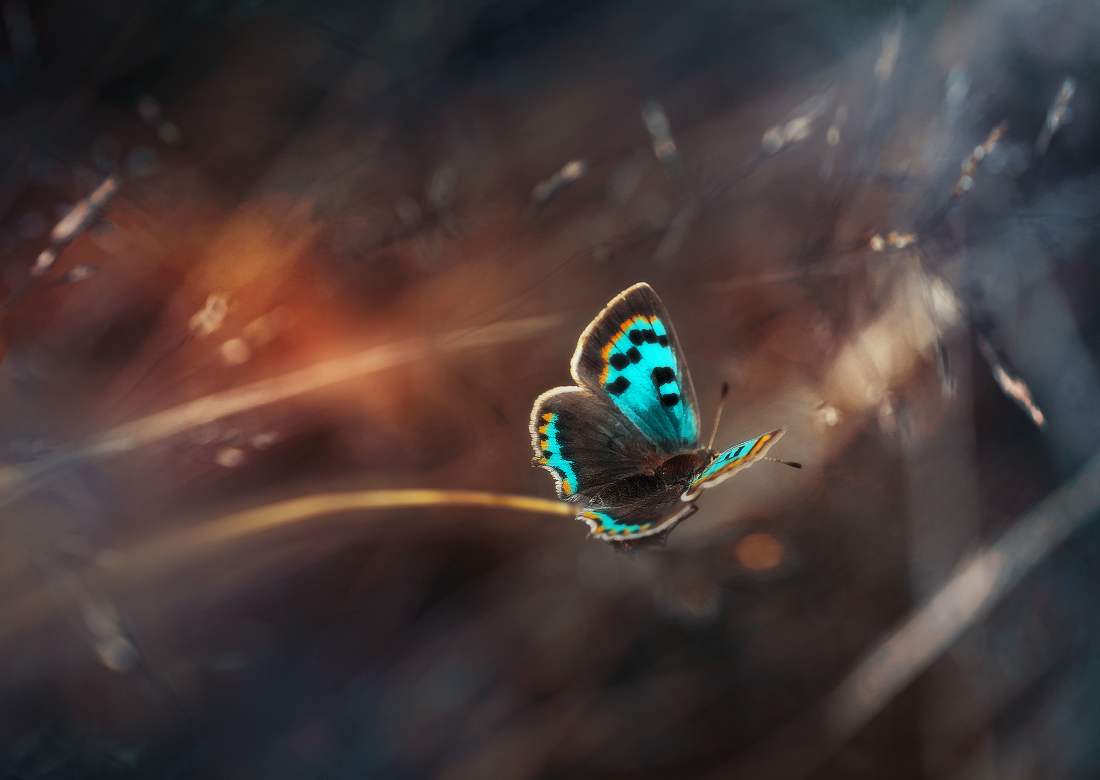 tumblr_nvtonjz7IJ1qam6uto1_1280