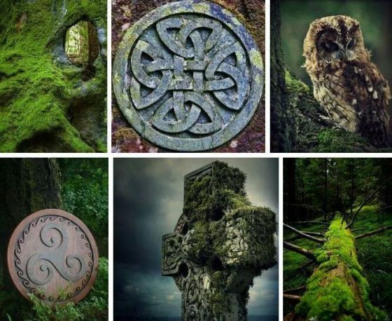 tumblr_ngrktyoIJJ1u1lh4ho1_1280