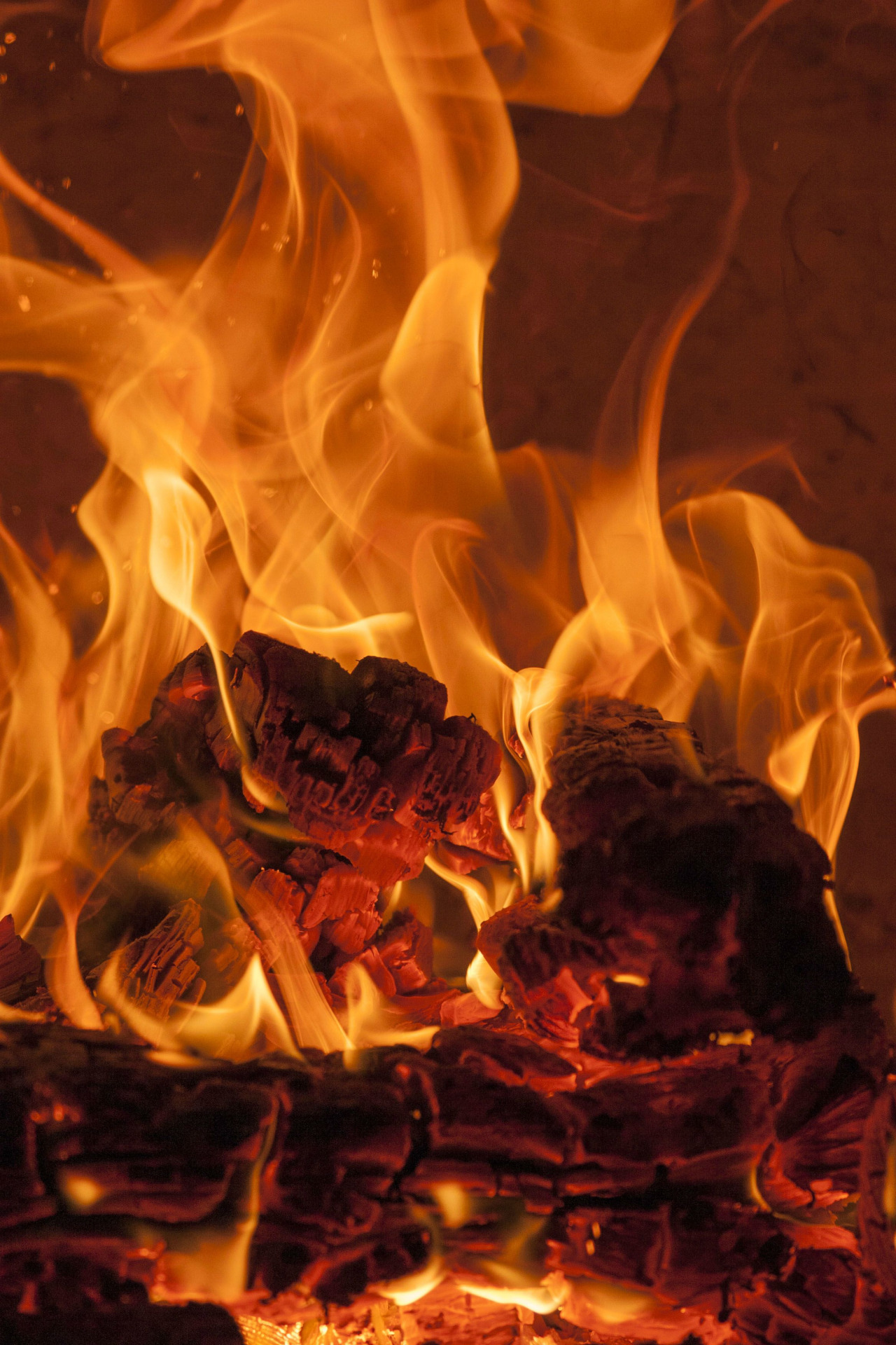 tumblr_nvpeukM0QC1u7b31go1_1280