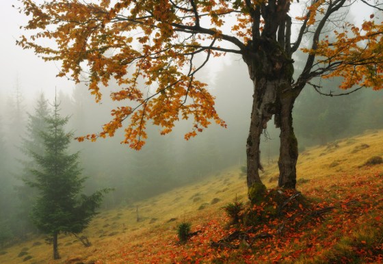 tumblr_nx8qibvnSO1rum5sfo1_1280