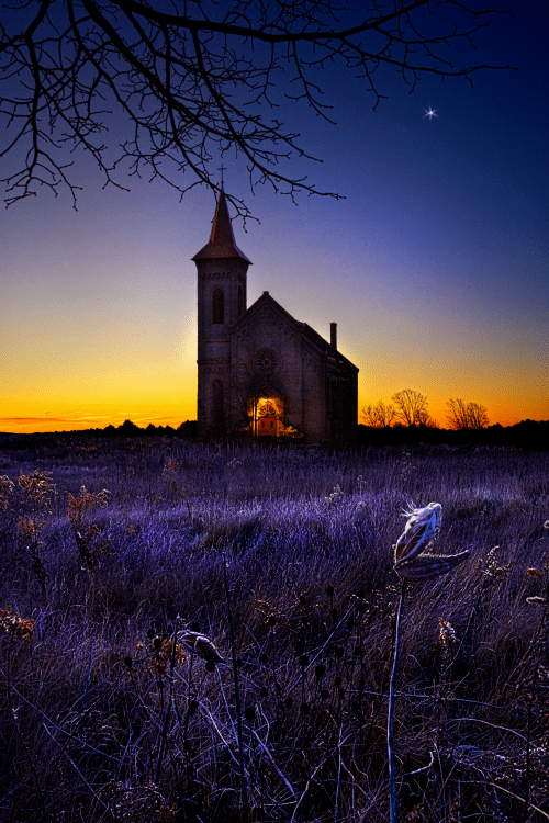 tumblr_n4cf0bwtEg1t5g5c1o1_r1_500