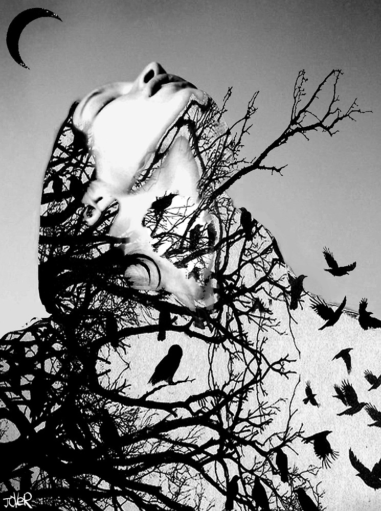 tumblr_o0a4g5CFHd1thc2ojo1_1280