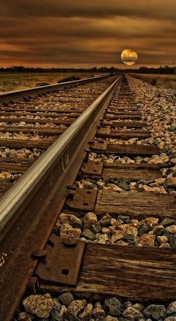 tumblr_o1tdbugQQQ1rr74i9o1_500