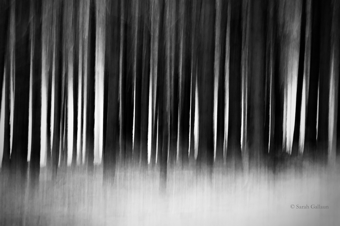 these_woods_breathe_evil_by_sarah__g-d5nwc3p