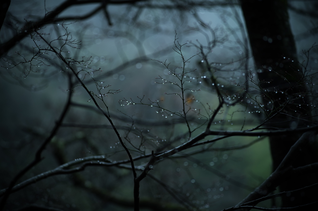 tumblr_ntsqulyiKA1rgewupo1_1280