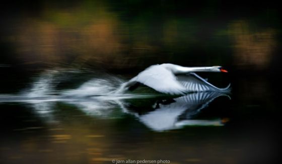 tumblr_nz231mDRzs1ru4biyo1_1280