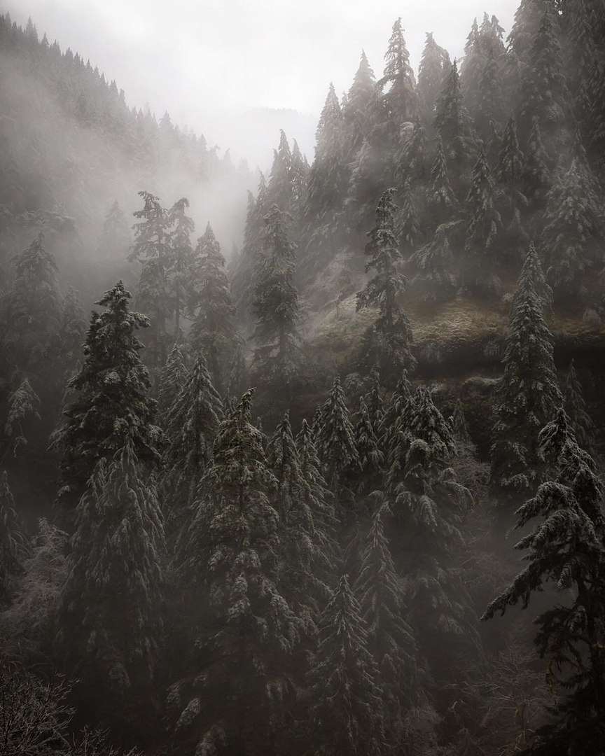 tumblr_o1vkjmBGRX1u08r5uo1_1280