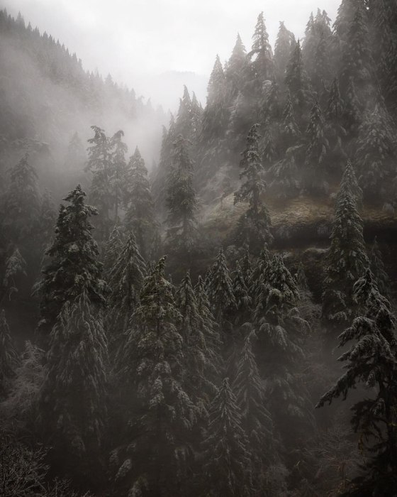 tumblr_o1vkjmBGRX1u08r5uo1_1280