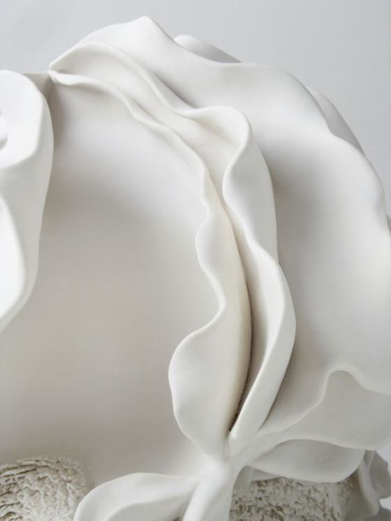 tumblr_o1zgy7Zp5Z1qahuhjo1_1280