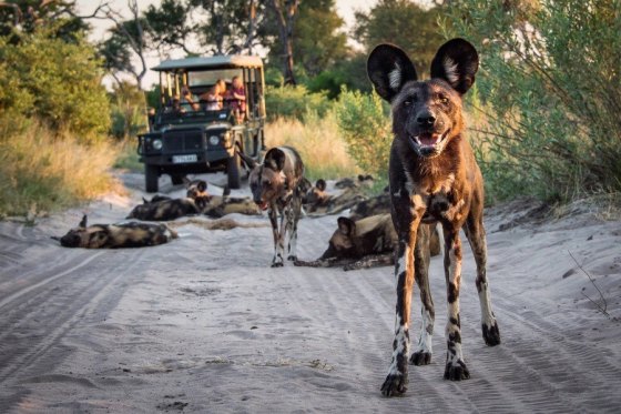 tumblr_o32vhcNLmY1uqogzxo5_1280