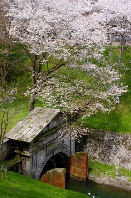 tumblr_o3soxsWyEO1qat5pio1_500