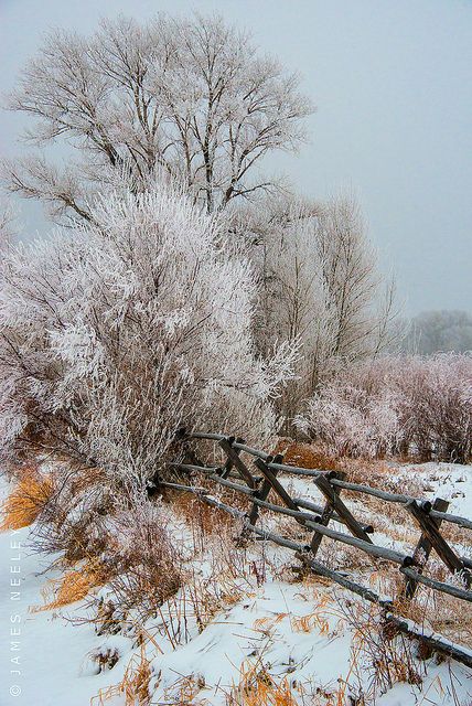 tumblr_o4i8sxcB7L1r2zs3eo1_500