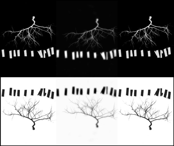 winter_tree5web_by_aloner777-d9pi71b