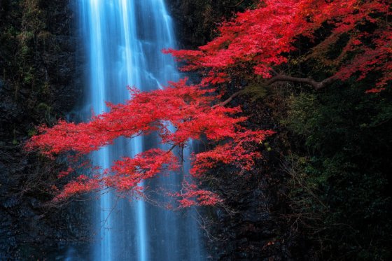 minoo_by_porbital-d88hh6k