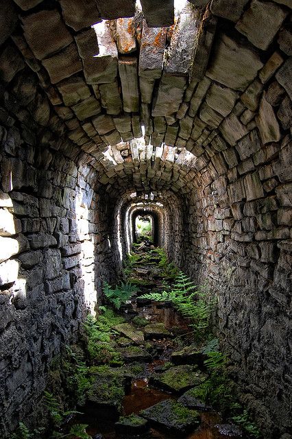 tumblr_ns7os9pR661r2zs3eo1_500