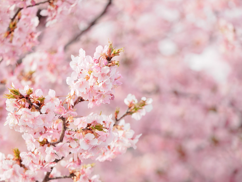 tumblr_o3myqeT11I1s0yhbzo1_1280