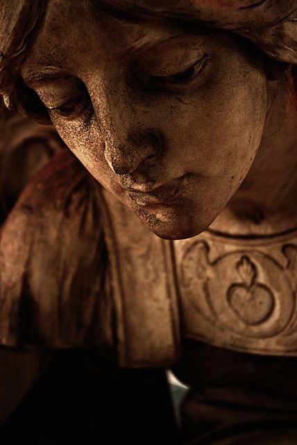 tumblr_o55kpofUiu1rr74i9o1_500