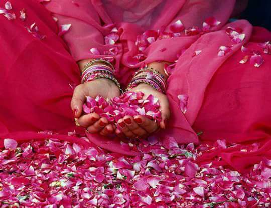 tumblr_o5mv2tAaEa1sjeauko1_540