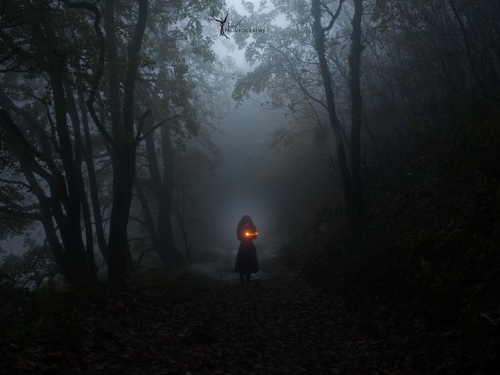 tumblr_o2twx4b8i61tgka1io1_500