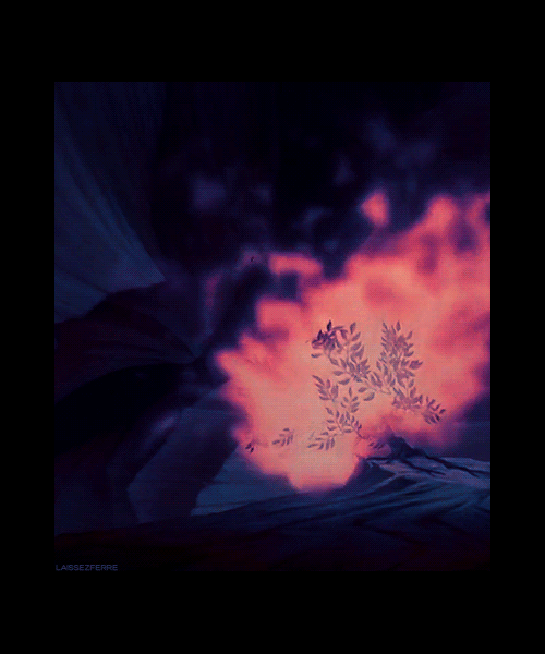 tumblr_n8p336ldDi1rief6so1_500