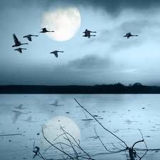 163959386a7aeac5e4fe949444b01a0d