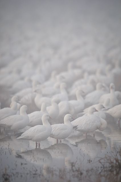 b3207ea66883df3cb56e112c19f687fe