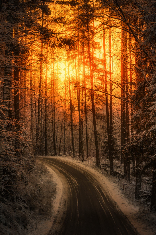 tumblr_o06l93papt1u8wonlo1_r2_1280