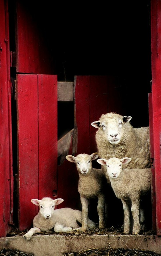 tumblr_oeujfgrmui1uwhl54o1_1280