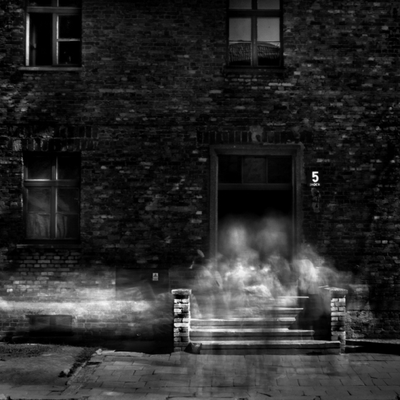 2008-5-10 Auschwitz No 5 - 6-24-2008 750